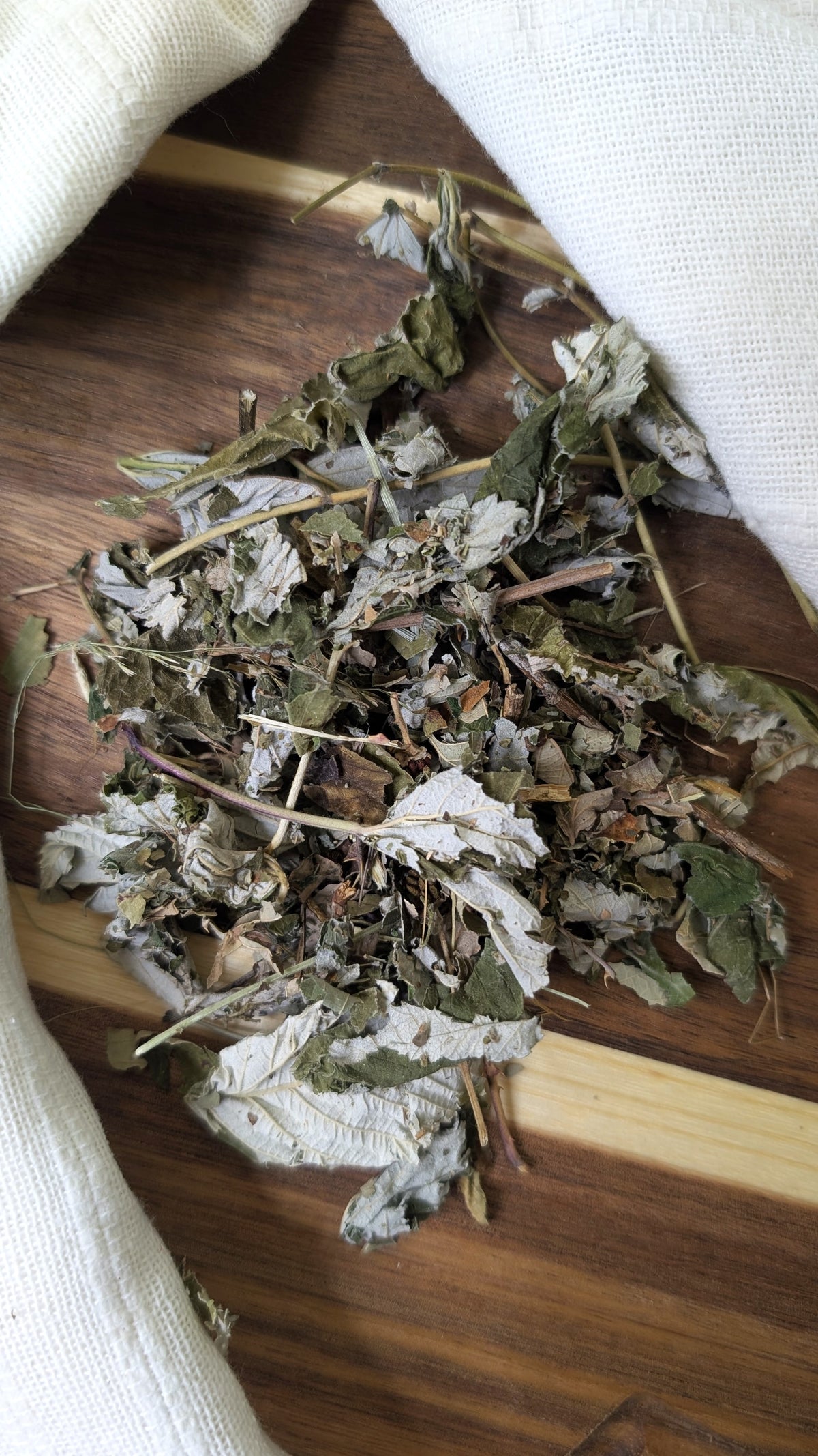 Feuilles de framboisier