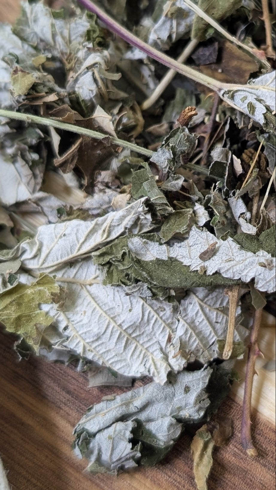 Feuilles de framboisier