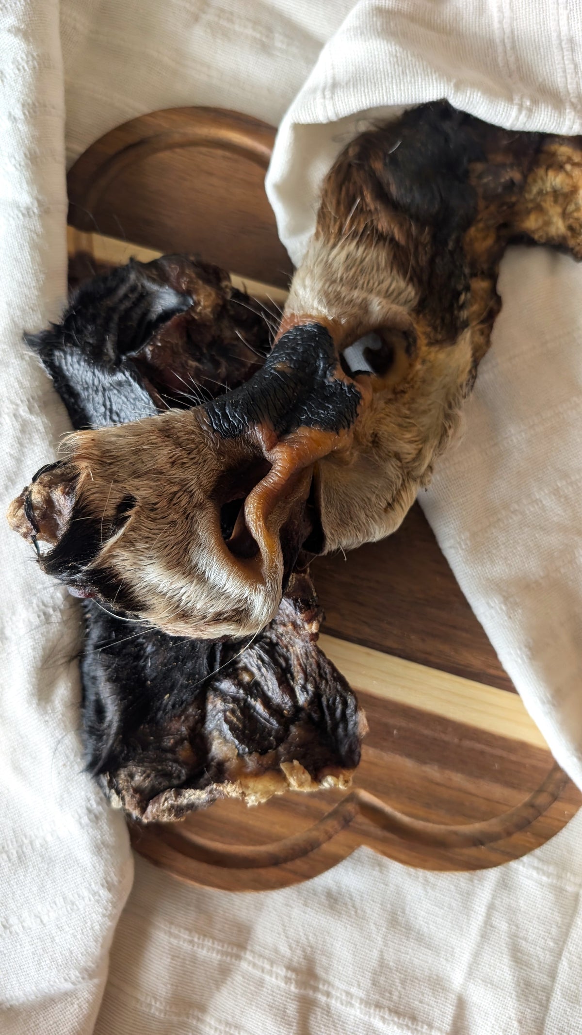 Museau de boeuf avec poils