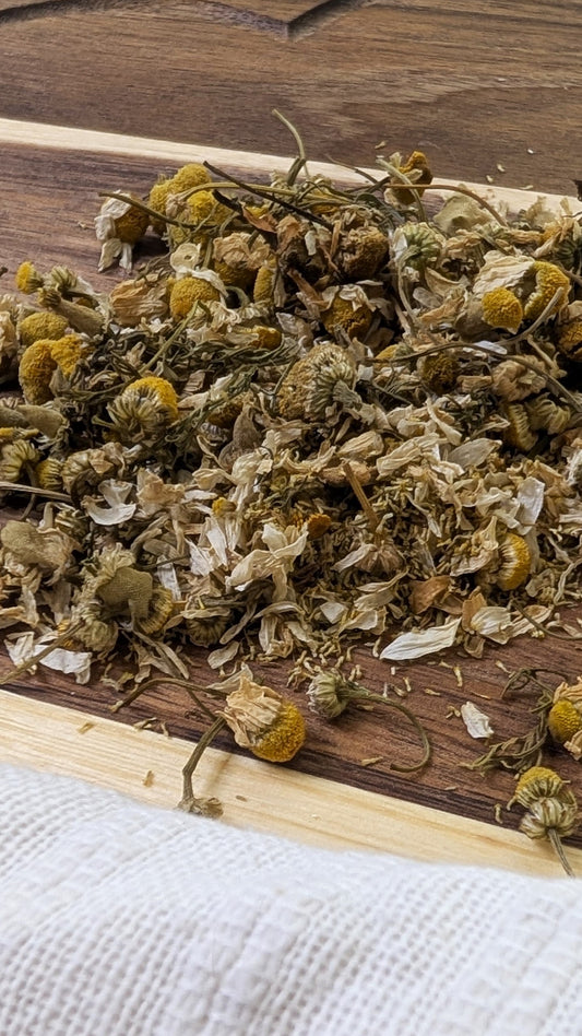 Fleur de camomille