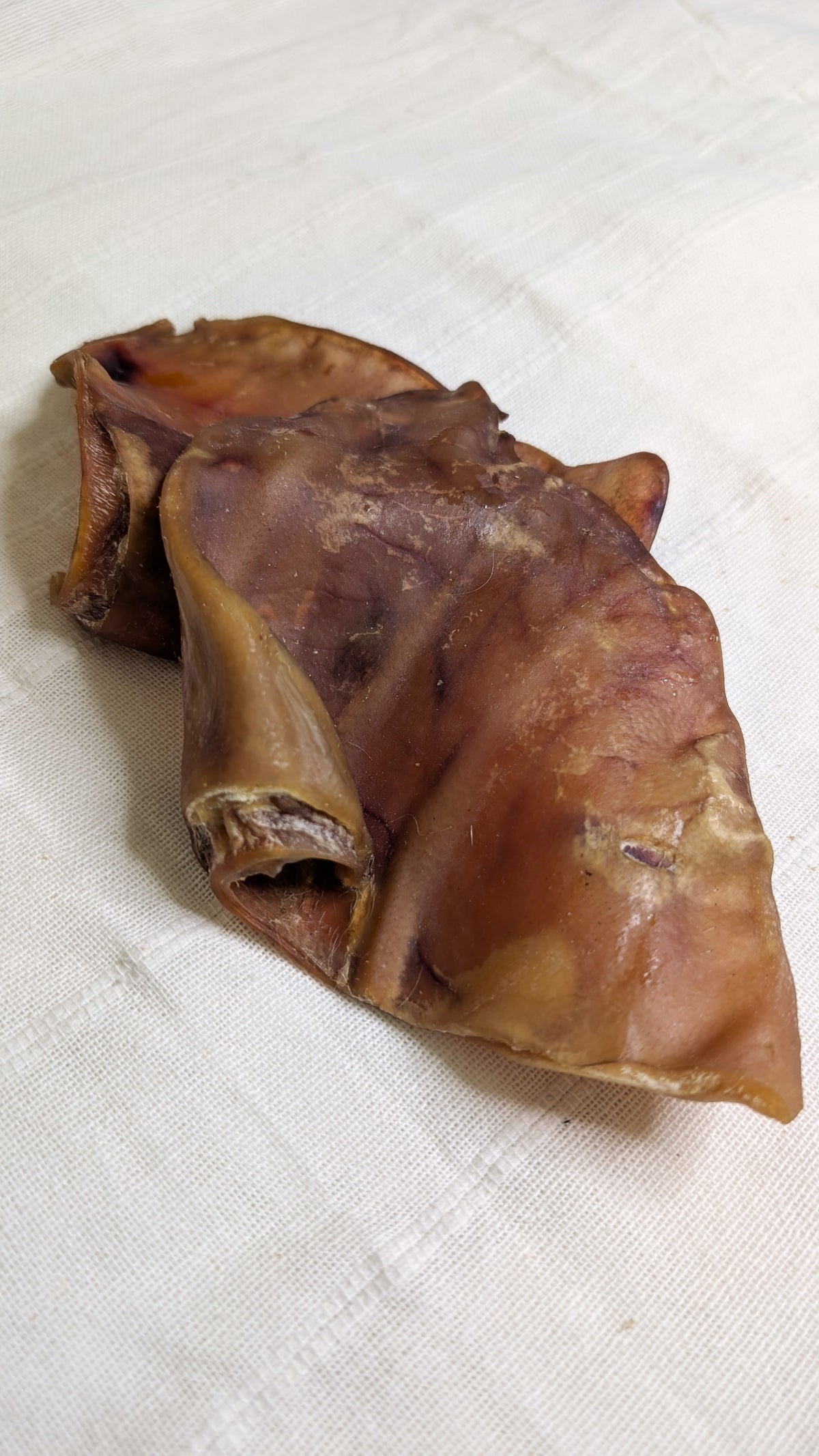 Oreille de porc 10 PCS